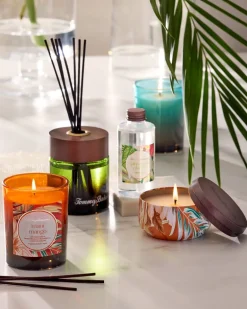 Maui Mango 7.5-oz. Boxed Poured Candle