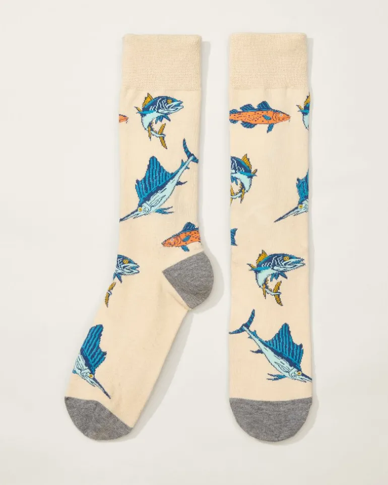 Tide & Seek Socks